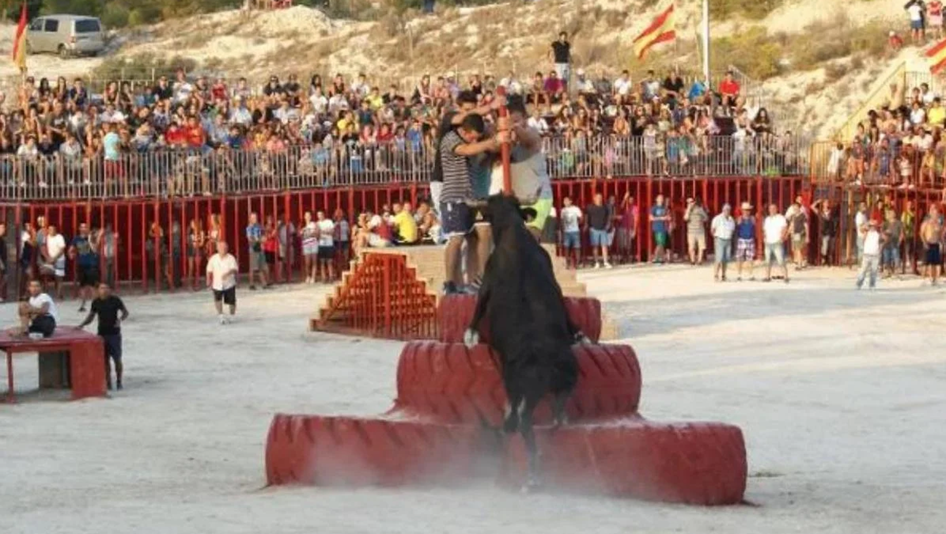 Imagen principal - The controversial El Moralet bull returns to Alicante
