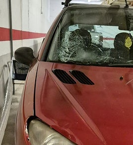 Vehículo con el que se produjo el atropello