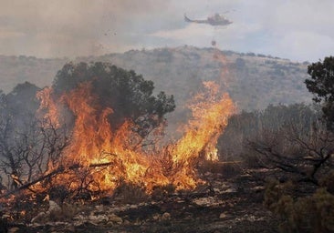 Desalojan a 25 personas por el incendio forestal de Ibi