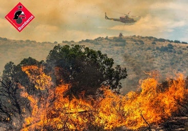 Los bomberos dan por controlado el incendio forestal de Ibi