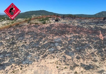 Estabilizado el incendio forestal de Villena