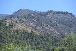 Efectos del incendio declarado el pasado viernes en Ibi.