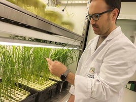 El investigador de la UA, Borja Ferrández, en el laboratorio