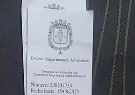 Una de las falsas multas que anuncian un kebab en Alicante.