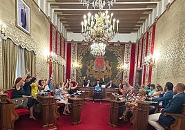 Pleno extraordinario sobre la moratoria turística.