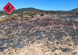 Zona afectada por el incendio de Villena