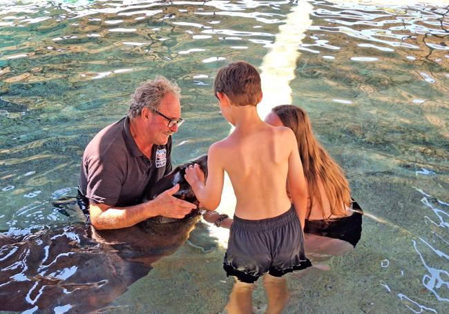 Terapia con leones marinos en Aqua Natura Benidorm.