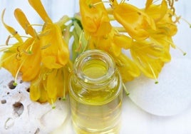 El aceite de argán es un producto altamente valorado en el sector de la cosmética.