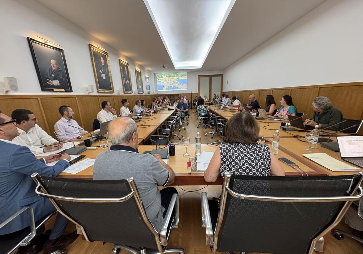 Consejo de Gobierno de la Universidad de Alicante.