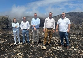 El alcalde de Ibi y el conseller de Medio Ambiente, primero y segundo por la derecha, en los terrenos calcinados de la Font Roja.