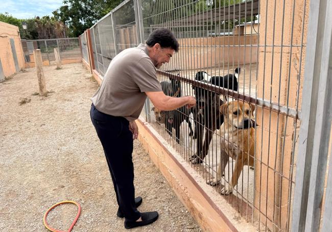 Barcala con varios de los perros del albergue municipal.