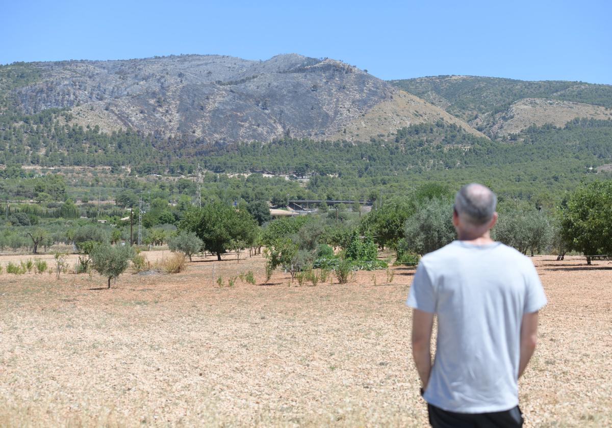 El fuego arrasó cerca de 150 hectáreas del parque natural de la Font Roja.