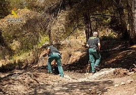 Agentes del Seprona durante las labores de investigación del origen del incendio forestal de Ibi.
