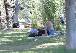 Transeunte se refugia en la sombre frente a la Playa del Postiguet.