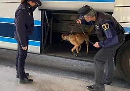 Actuación policial en Alicante.