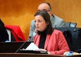 Cristina Escoda, portavoz del PSOE de Benidorm, en una imagen de archivo