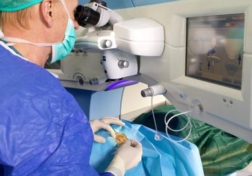 Un estudio alicantino avala la seguridad de cambiar el color de ojos por estética