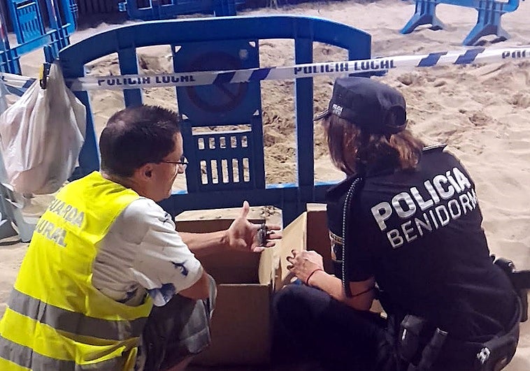 Imagen del momento de la recogida de los ejemplares en plena playa de Levante