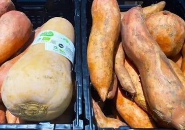 Una plaga afecta a 240 hectáreas de cultivo de boniato en la Vega Baja