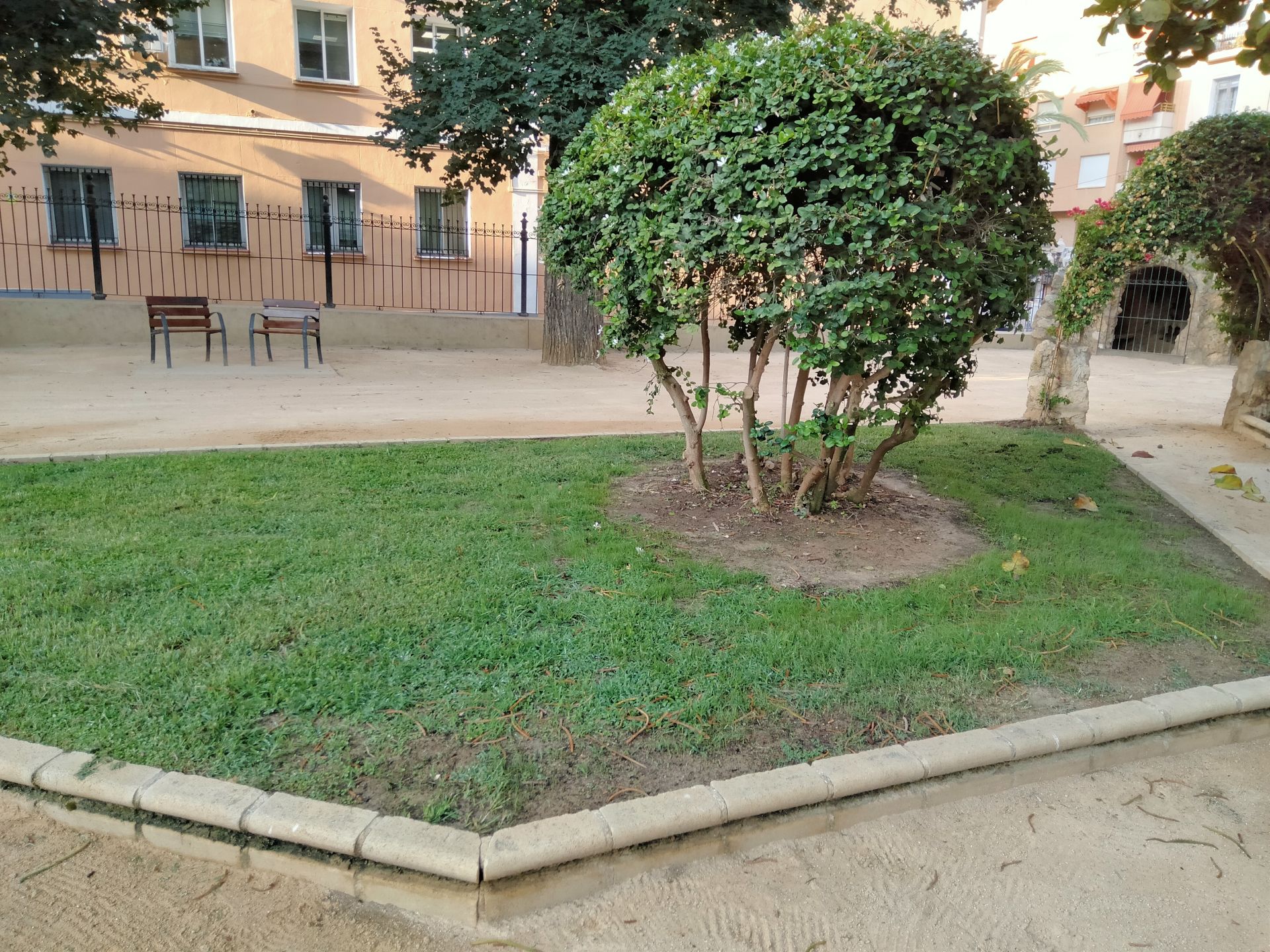 Un ejemplo de los trabajos de poda de arbustos que se ha llevado a cabo en el jardín.