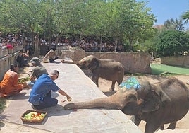 Petita, en su último cumpleaños.