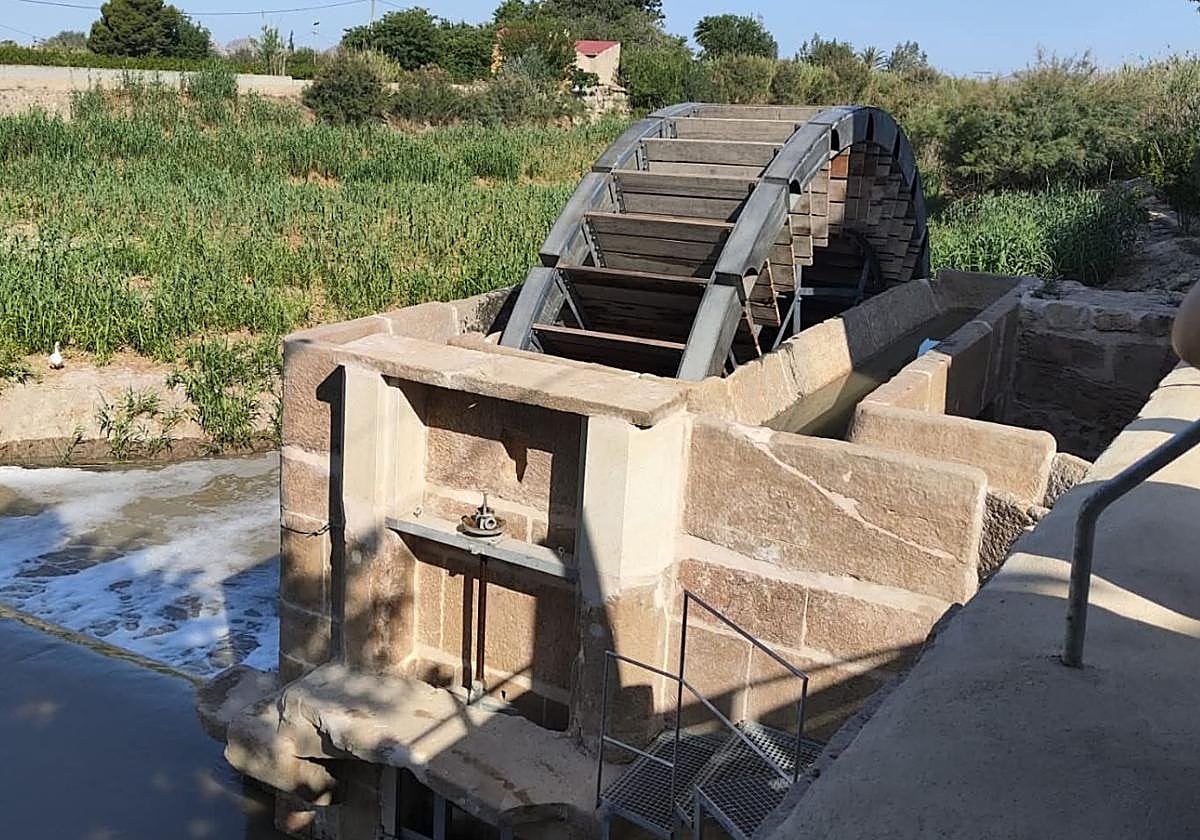 Esta actuación se lleva a cabo en estrecha coordinación con el área de Patrimonio.