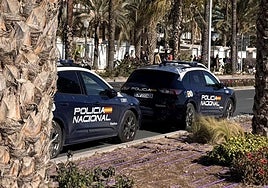 Imagen de archivo de dos patrullas de la Policía Nacional en Alicante.