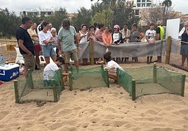 Nido de tortugas acotado en la zona de playa de Dénia.