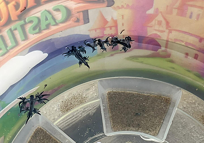 Dragones azules de Guardamar del Segura.