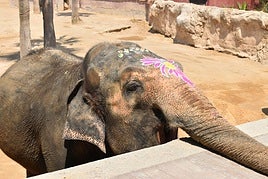 Petita en su cumpleaños.