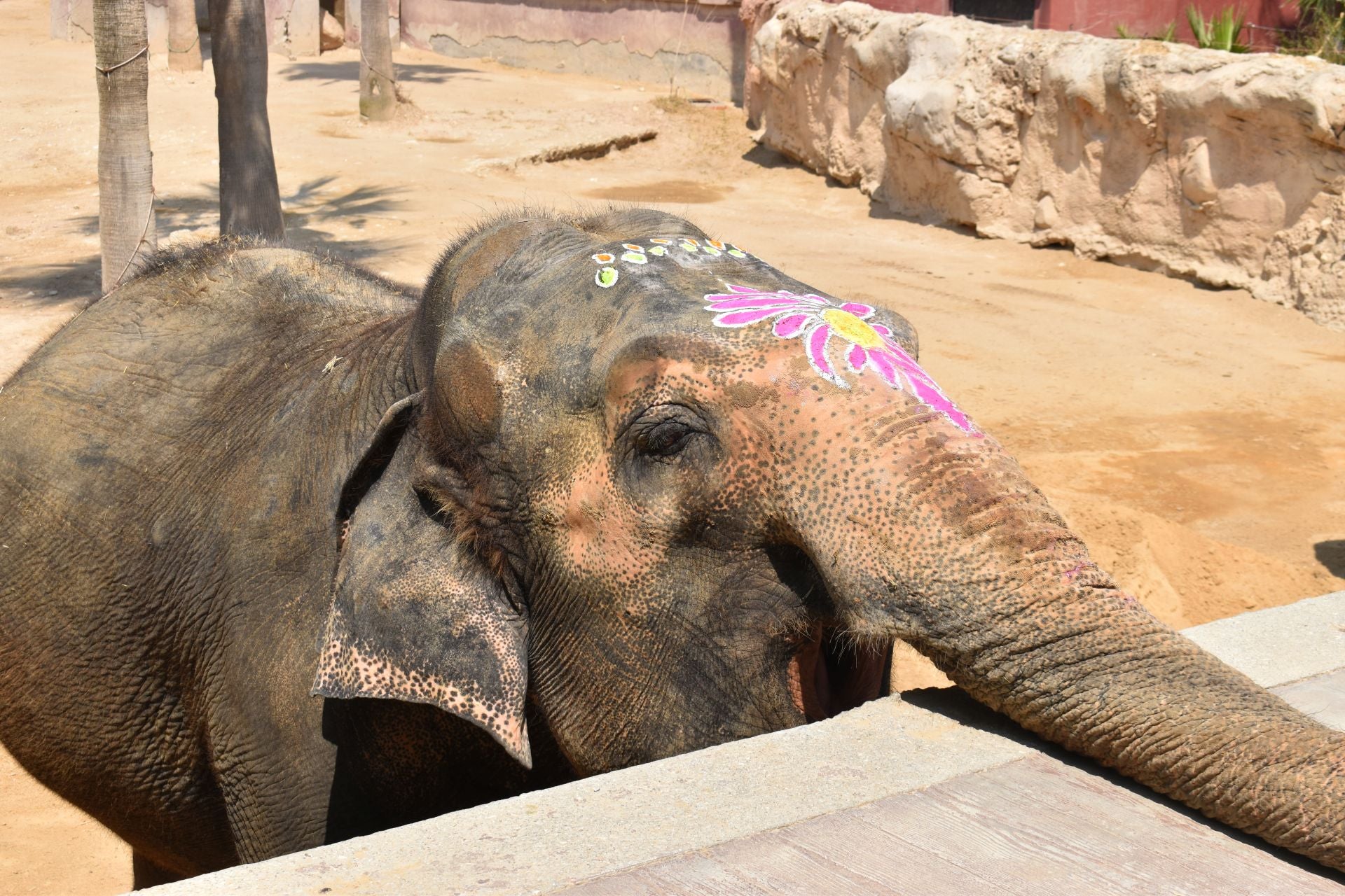Petita en su cumpleaños.