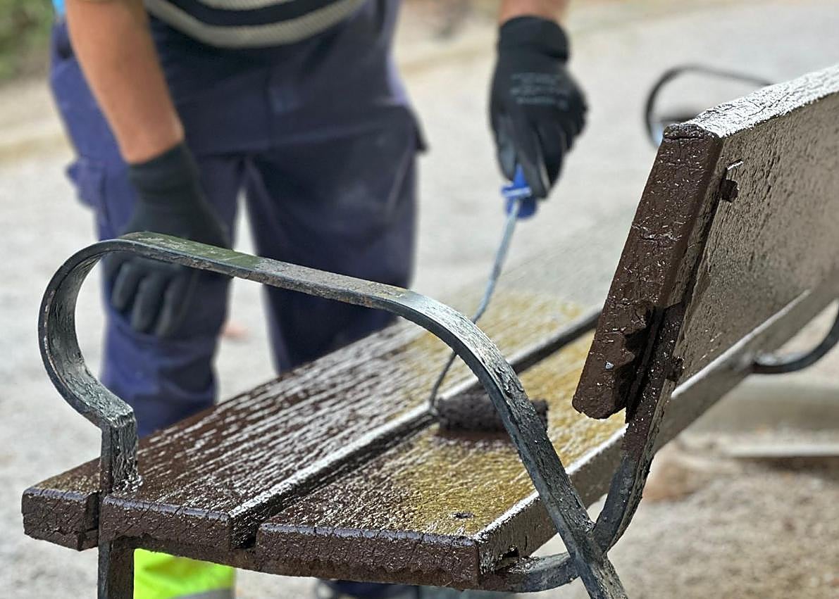Imagen secundaria 1 - Trabajadores llevan a cabo trabajos de mejora.