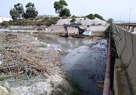 Limpieza del barranco de Agua Amarga.