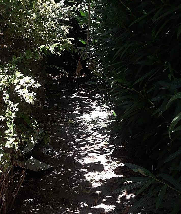 Imagen secundaria 2 - Parque San Blas el Magro. 