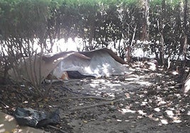 'Campamento' de una persona sin hogar en el parque.