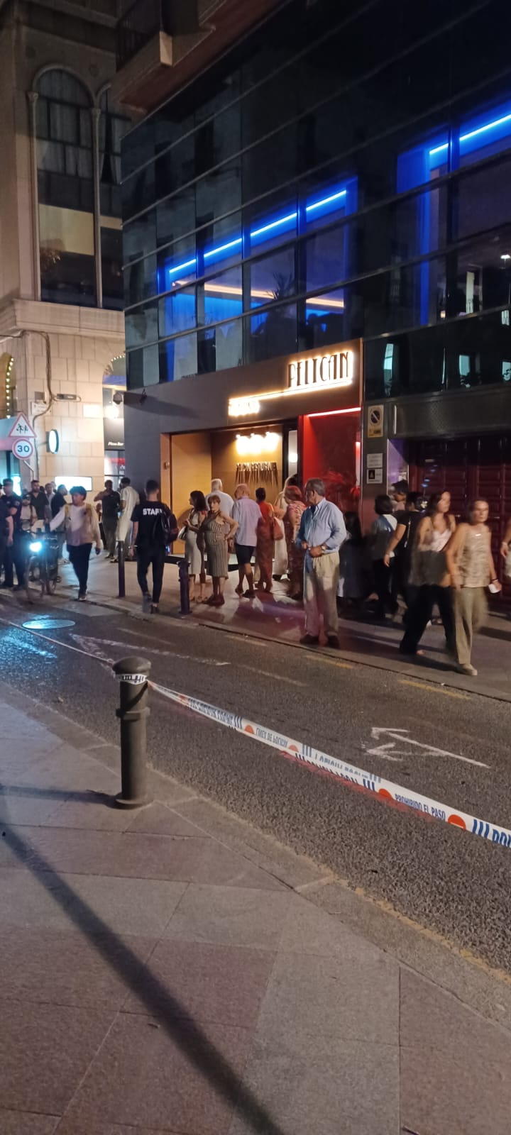 Las imágenes de la espectacular caída del árbol centenario de Alicante