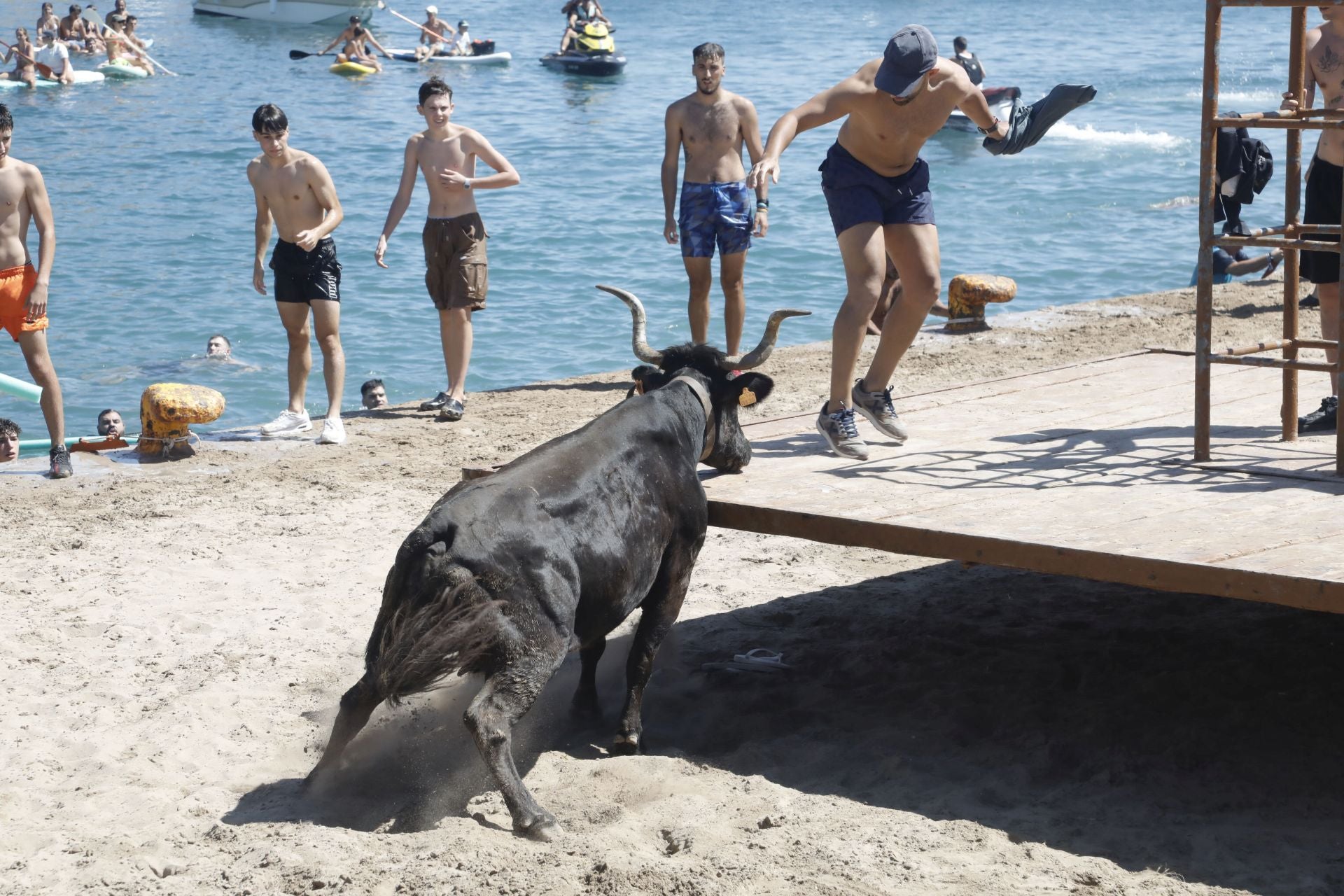 Xàbia celebra els bous a la mar