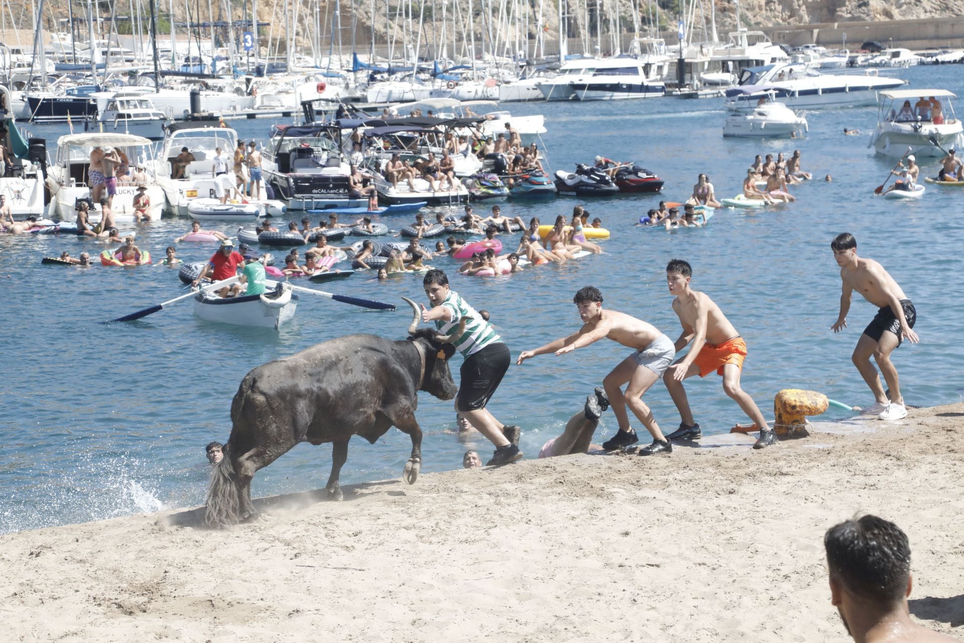 Xàbia celebra els bous a la mar