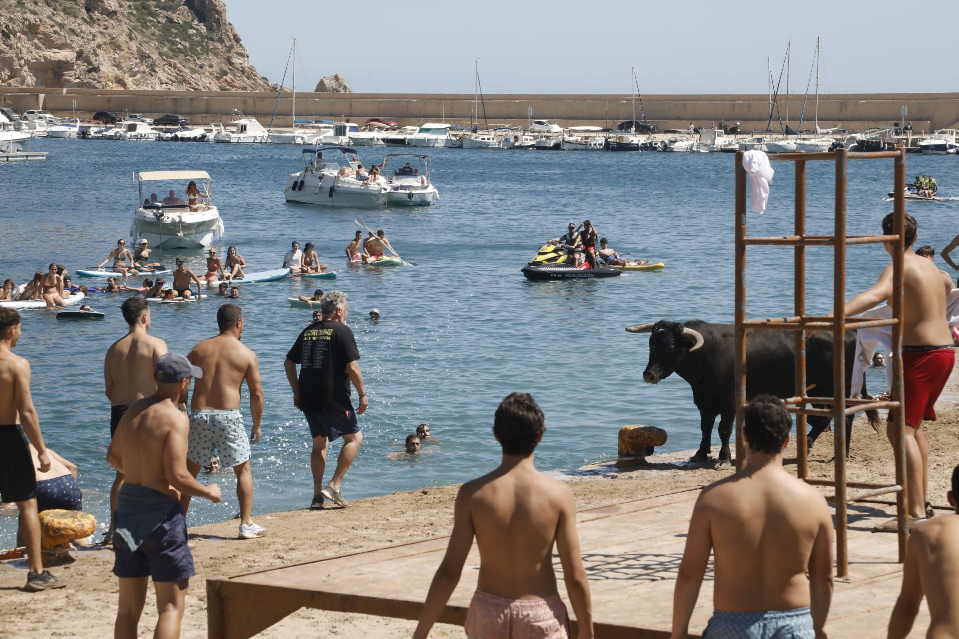 Xàbia celebra els bous a la mar