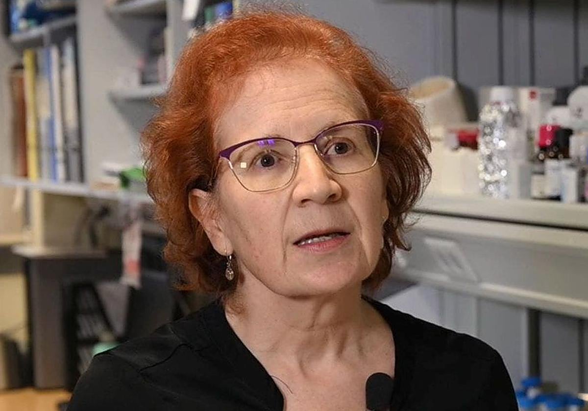 La investigadora Margarita del Val.