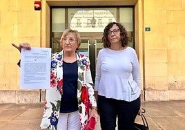 La portavoz del grupo municipal socialista en el Ayuntamiento de Alicante, Ana Barceló (i), y la concejala del PSPV Trini Amorós (d).