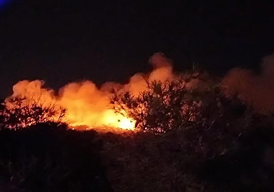 Imagen del incendio en Guardamar.