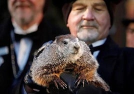 El día de la marmota