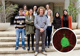 Equipo del laboratorio Cognición e interacciones sociales, liderado por Félix Leroy, junto a la imagen del cerebro de un ratón en la que se observan neuronas productoras de vasopresina.