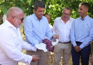 Mazón sale en defensa del Júcar-Vinalopó «para seguir regando nuestras cosechas» ante los recursos ecologistas al TSJ