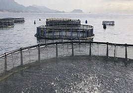 El Vilamuseu acoge hasta noviembre la exposición sobre paisaje sonoro submarino y ecosistemas.