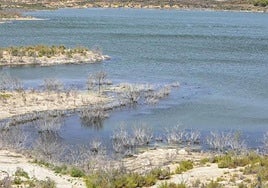 Embalse de Santomera, en imagen de archivo.