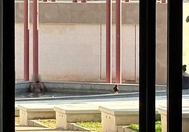Bañistas en al fuente de la Universidad de Alicante.