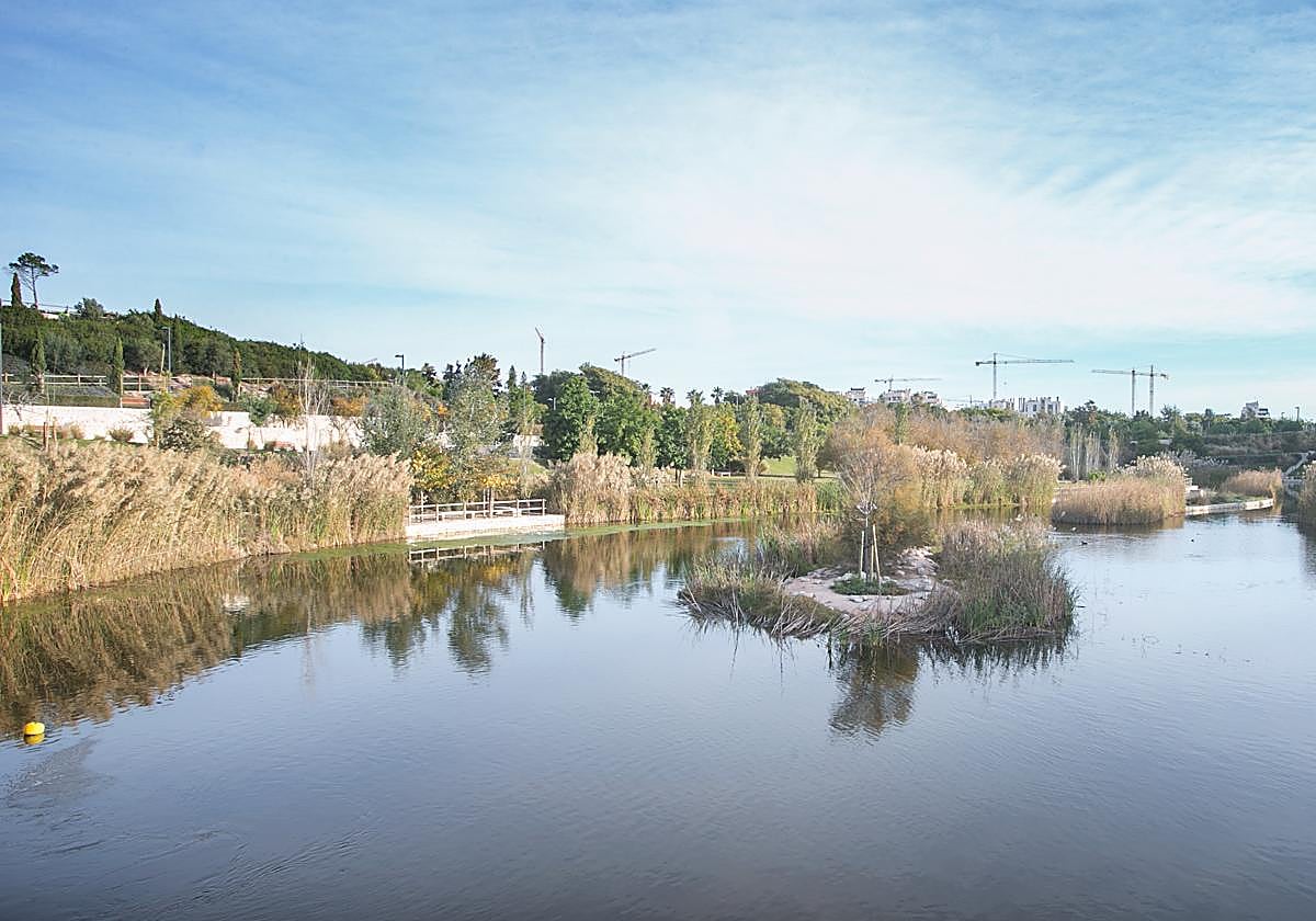 Parque inundable de La Marjal, en Alicante.