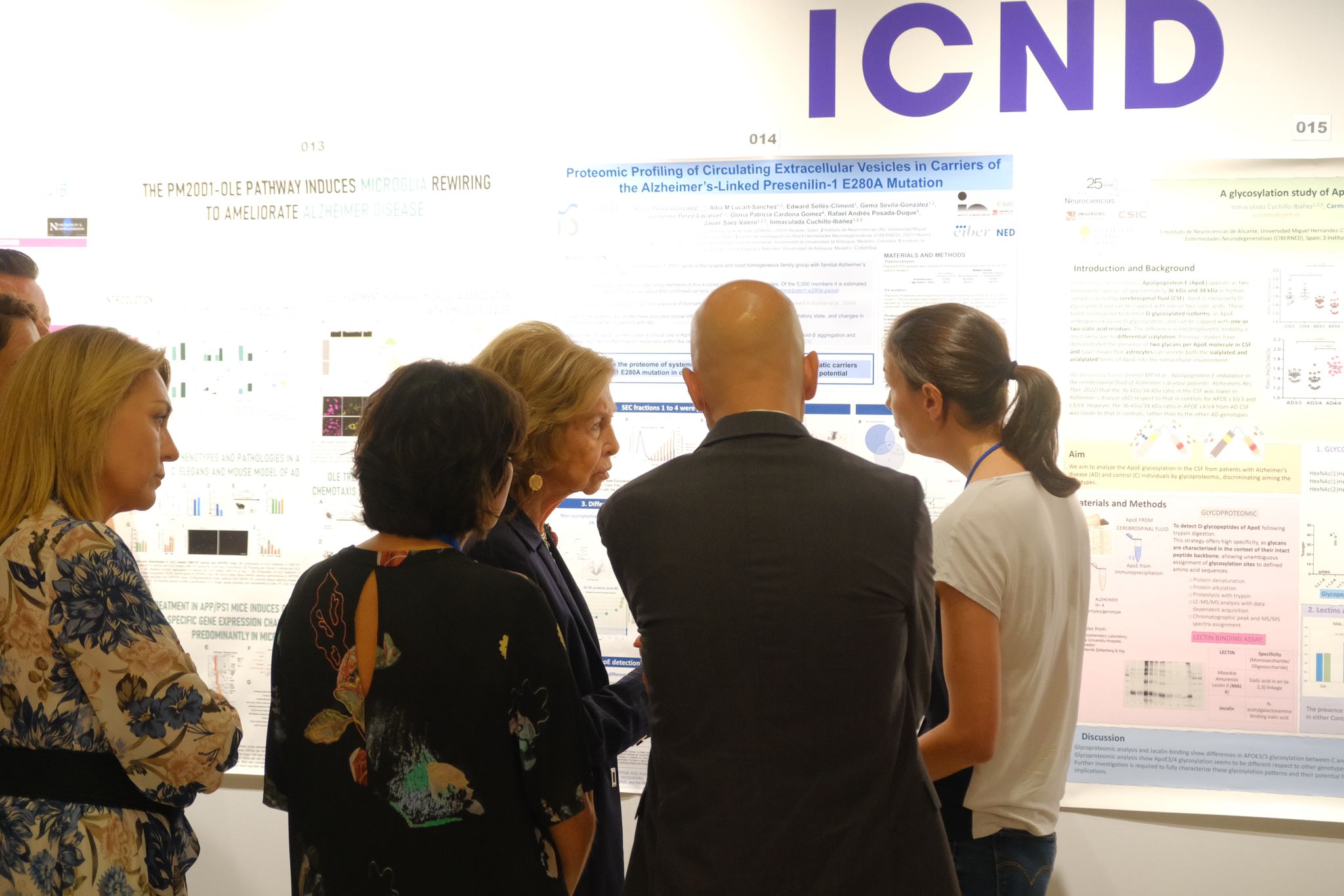 Elche se rinde ante Doña Sofía